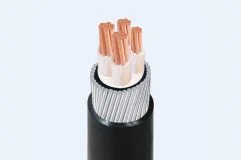 Dây cáp điện Cu/XLPE/PVC CV-4x10mm² Taya – 0.6/1KV