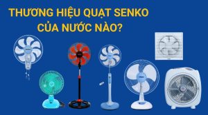 Thương Hiệu Quạt Senko Của Nước Nào? Có Nên Mua Hay Không?